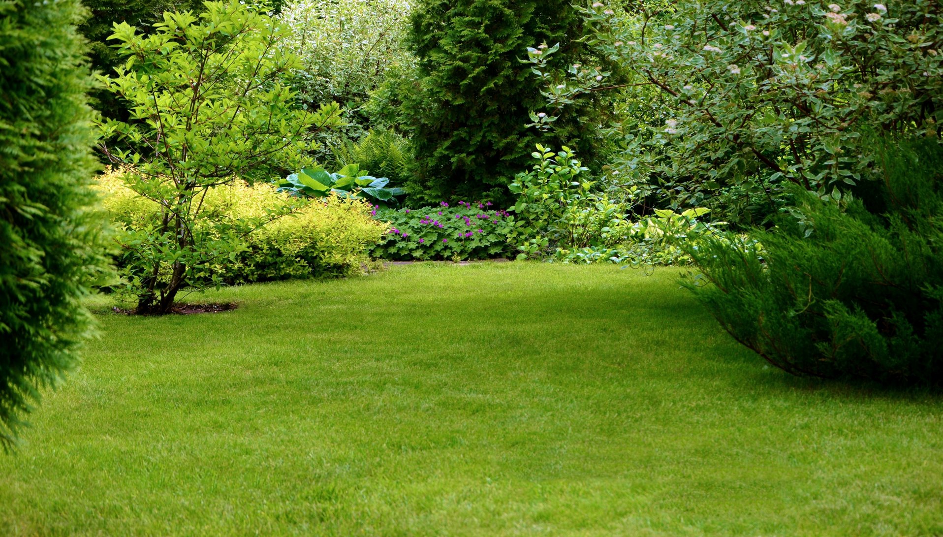 Entretien parc